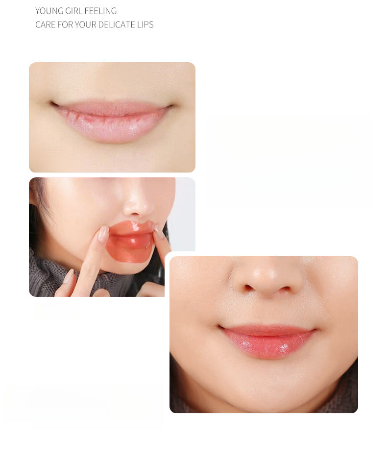 11fd0608-82b2-4674-b1eb-73c85a7b79e2