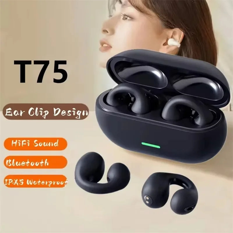 T75 TWS Wireless Bluetooth Earbuds
